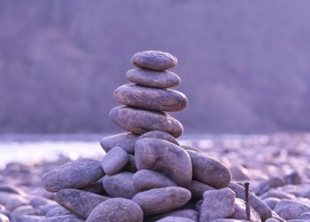 Essential Gear for Hiking for Beginners: What You Really Need to Know