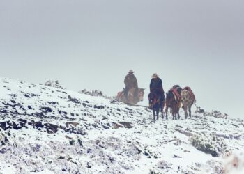 Unleash Your Wild Side: Easy Outdoor Adventure Hobbies for Beginners