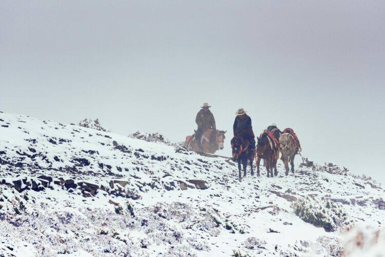 Unleash Your Wild Side: Easy Outdoor Adventure Hobbies for Beginners